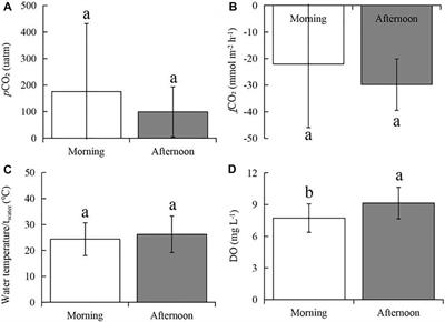 Daily Variations in pCO2 and fCO2 in a Subtropical Urbanizing Lake